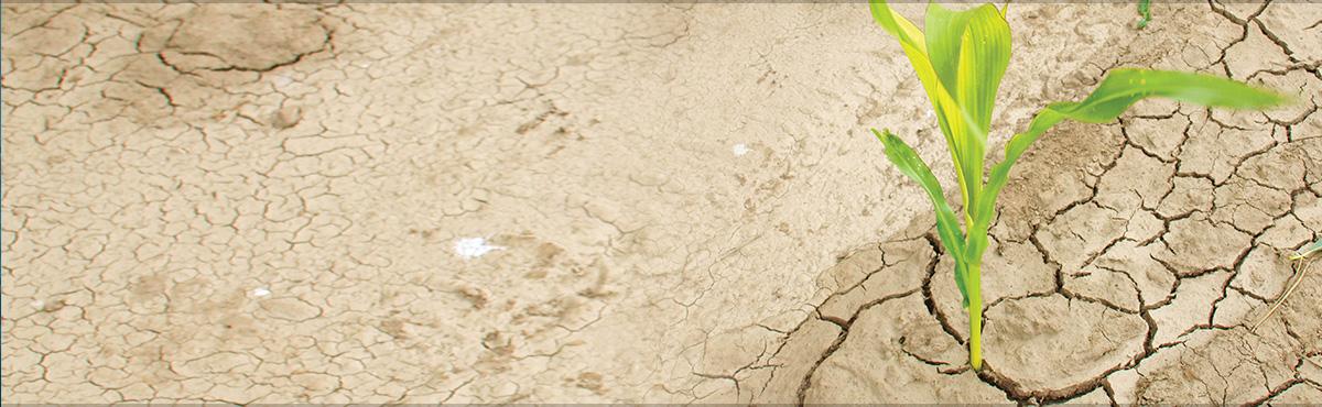 Slide background