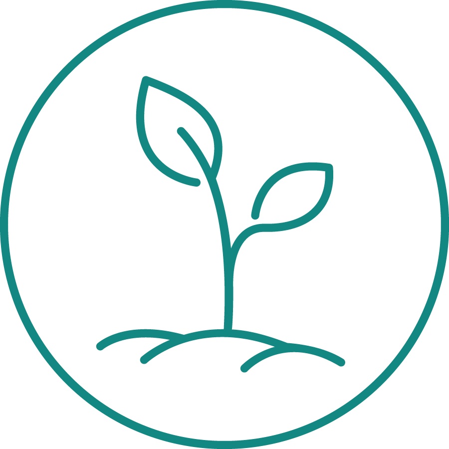 Icon Pflanzenforschung